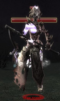 Eifriger Amarantha.jpg