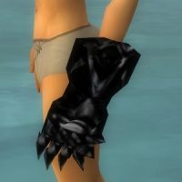 Klaue der Geflüsterten.jpg