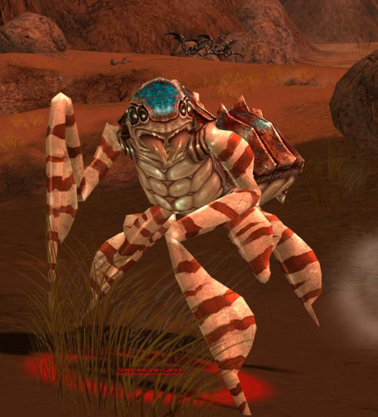 Datei:Steppenkäfer-Lanze.jpg
