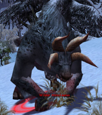 Wilder Minotaurus.jpg