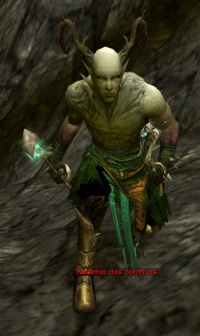 Aufseher des Sommers.jpg