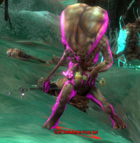 Der befallene Hsin Jun.jpg