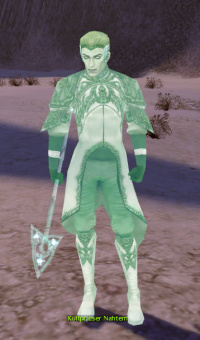 Kultpriester Nahtem.jpg