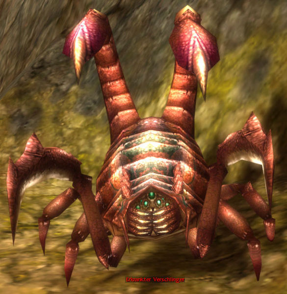 Datei:Erkrankter Verschlinger.jpg