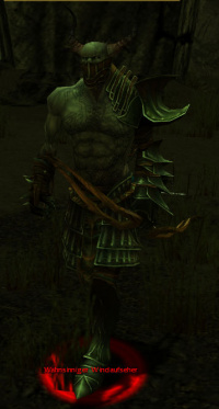 Wahnsinniger Windaufseher.jpg