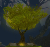 Nördlicher Ewiger Baum.jpg