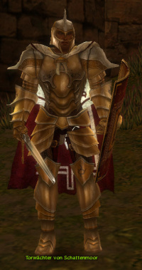Torwächter von Schattenmoor.jpg