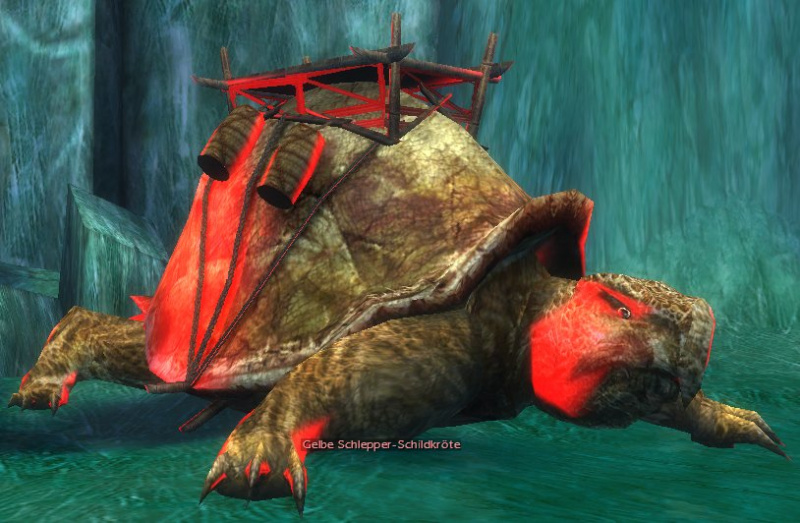 Datei:Gelbe Schlepper-Schildkröte.jpg