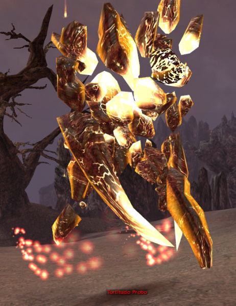 Datei:Tortitudo Probo.jpg