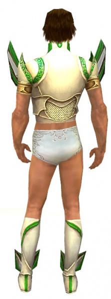 Datei:Paragon Asura-Rüstung Männlich brust schuh hinten.jpg